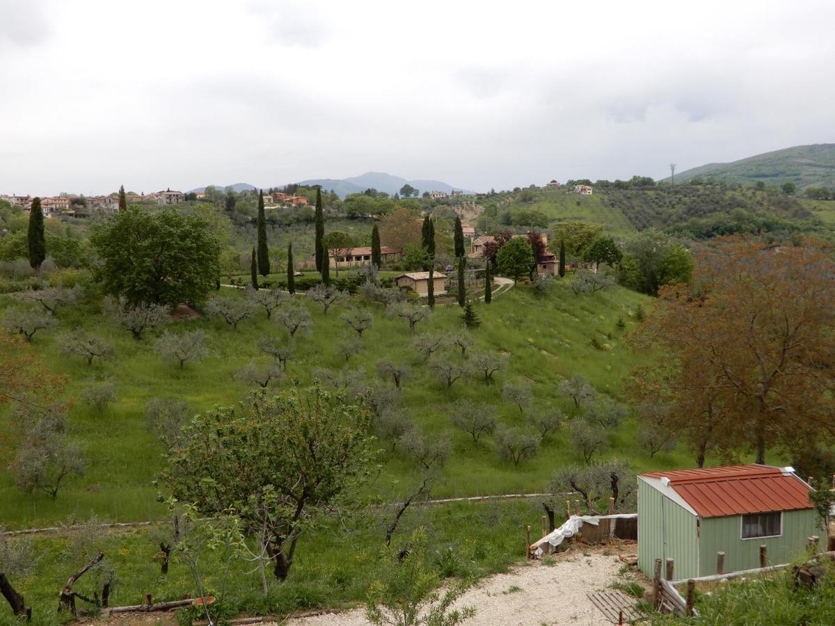 Bed and Breakfast Il Gelsomino Frasso Sabino Экстерьер фото